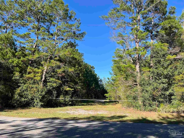 10026 Charlois Rd, Milton FL, 32583 land for sale