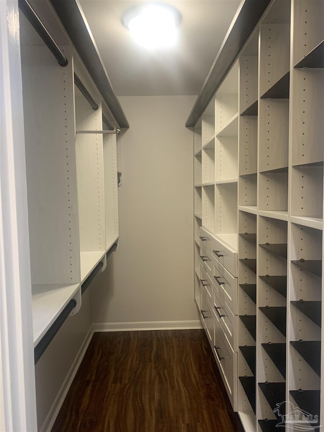 spacious closet featuring dark hardwood / wood-style floors