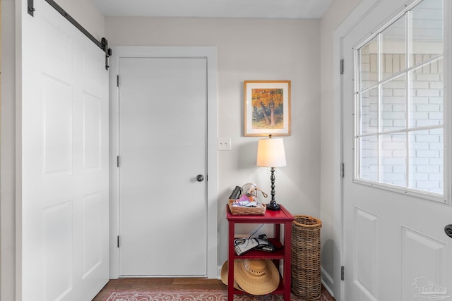 doorway featuring a barn door and hardwood / wood-style flooring