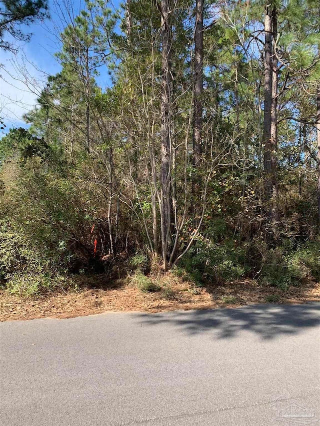 Listing photo 3 for Bay Point Blvd, Milton FL 32572