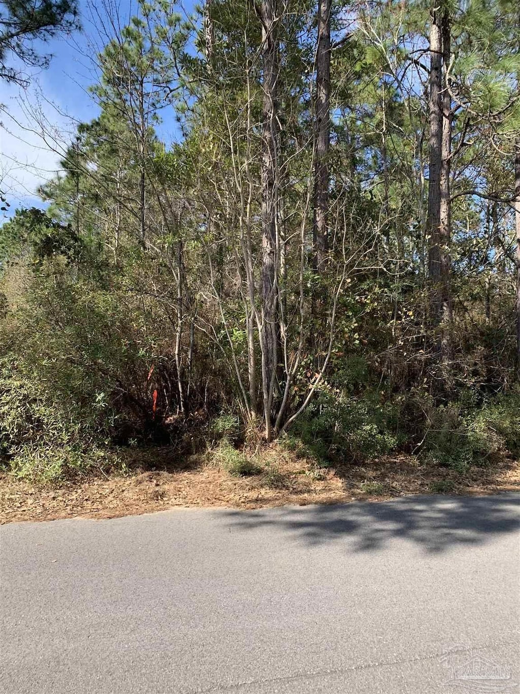 Bay Point Blvd, Milton, FL 32572