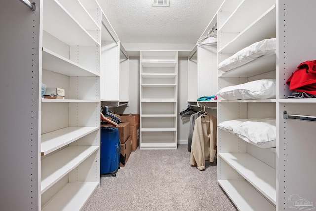 walk in closet featuring light colored carpet