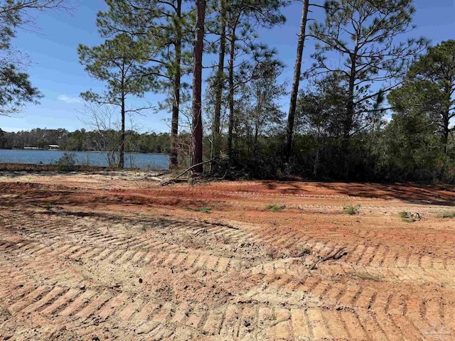 view of yard featuring a view of trees and a water view