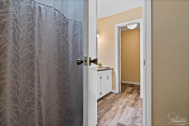 bathroom with wood-type flooring