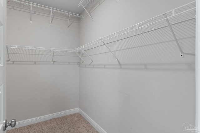 3594 Whitetail Ln, Pensacola, FL 32526 - spacious closet with carpet flooring