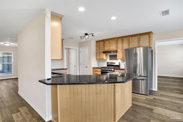 6459 E Quarry Dr, Elberta, AL 36530 - kitchen featuring appliances with stainless steel finishes, under cabinet range hood, dark wood-style flooring, decorative backsplash, and recessed lighting