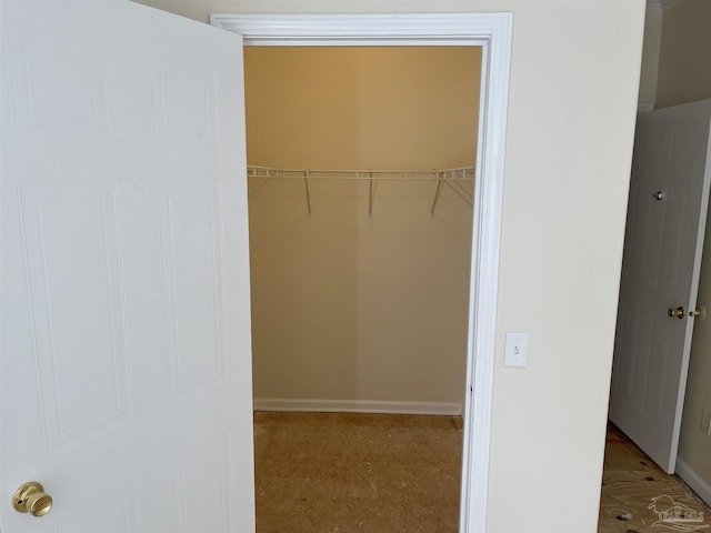 view of walk in closet