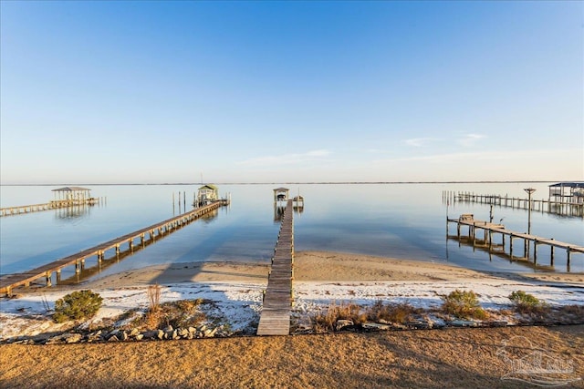 dock area with a water view