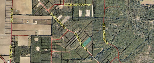 LOT50 Sage Forest Ln, Pace FL, 32571 land for sale