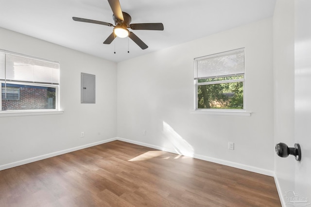 empty room featuring hardwood / wood-style flooring, ceiling fan, and electric panel