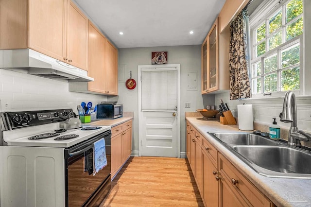 kitchen with light countertops, stainless steel microwave, under cabinet range hood, electric range, and a sink