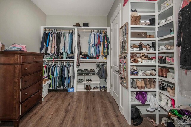 spacious closet with wood-type flooring