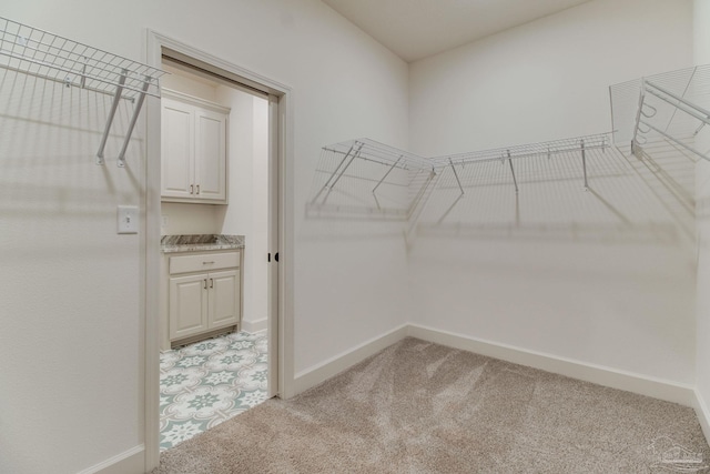 spacious closet featuring light carpet