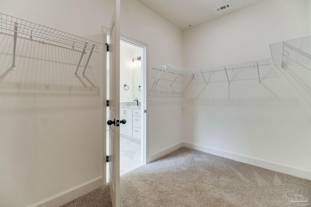 spacious closet featuring a sink, visible vents, and light colored carpet