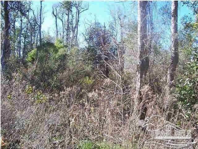 County Road 381, Wewahitchka FL, 32465 land for sale