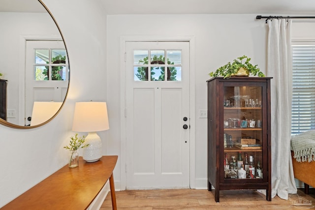 foyer featuring light wood-type flooring and plenty of natural light