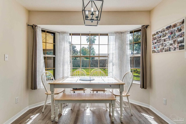 dining space with wood-type flooring