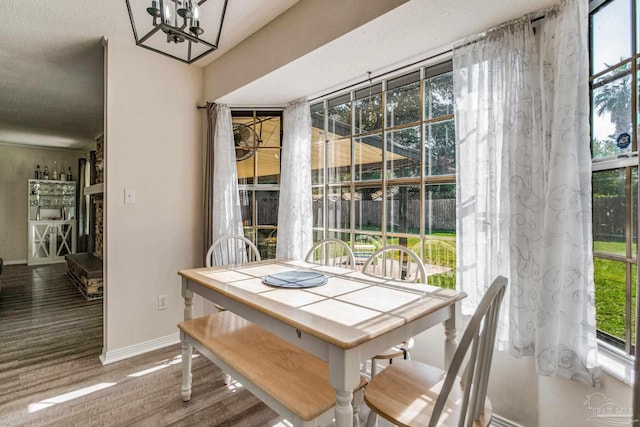 dining room with hardwood / wood-style floors and a notable chandelier