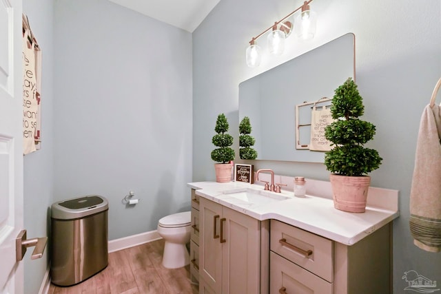 bathroom featuring hardwood / wood-style flooring, vanity, and toilet