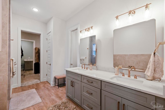 bathroom featuring vanity and wood-type flooring