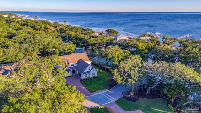 bird's eye view featuring a water view