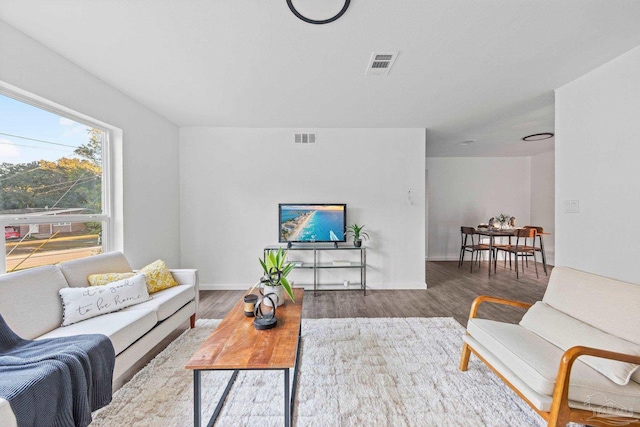 living room with hardwood / wood-style floors