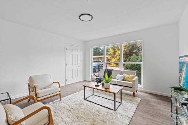 living room with light hardwood / wood-style floors