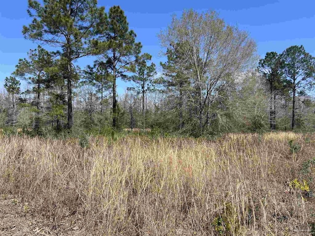 6828 Tranquility Trl, Pace, FL 32571