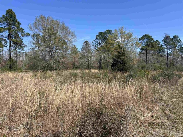 6828 Tranquility Trl, Pace, FL 32571