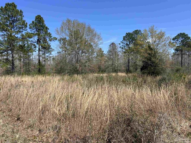 6828 Tranquility Trl, Pace, FL 32571