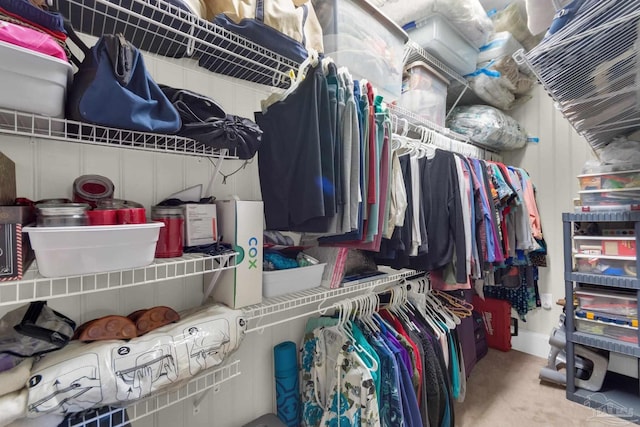 view of spacious closet