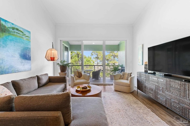 living room featuring wood-type flooring