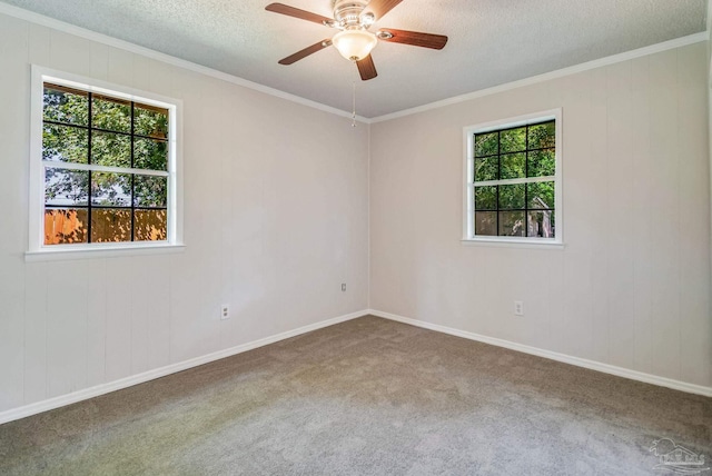 empty room featuring ceiling fan, crown molding, a textured ceiling, and carpet flooring