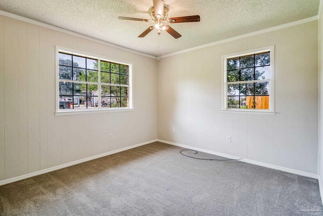 carpeted spare room with ceiling fan, ornamental molding, and a textured ceiling