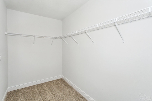 6575 Gentle Rain Dr, Milton, FL 32570 - spacious closet featuring carpet floors