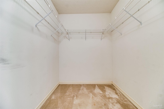 1537 Sandcliff Dr, Pensacola, FL 32507 - spacious closet featuring light colored carpet