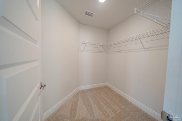 walk in closet with carpet floors