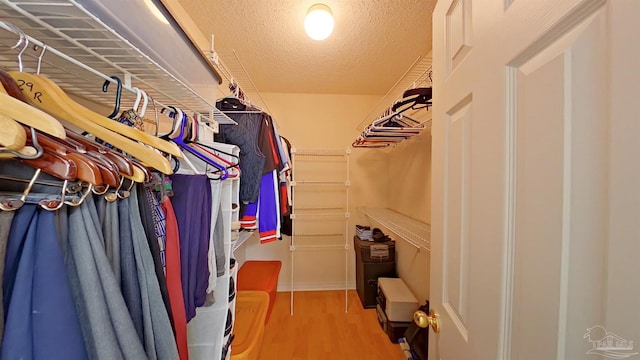 spacious closet featuring wood-type flooring