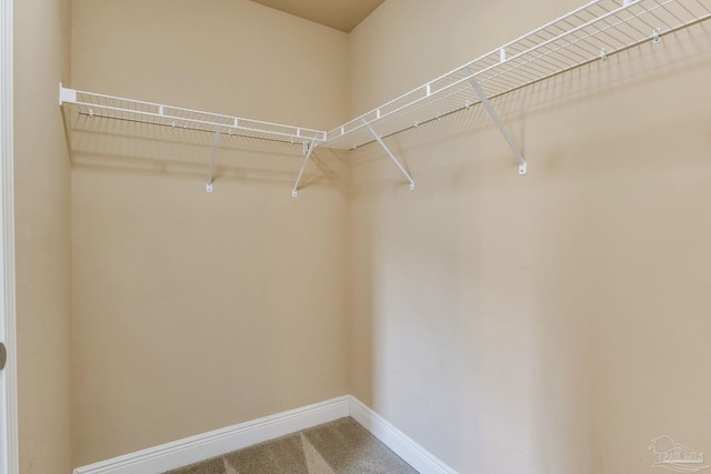 2107 Wilsons Plover Cir, Navarre, FL 32566 - spacious closet with carpet floors