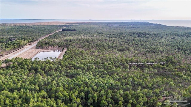 37ACRES Avalon Blvd, Milton, FL 32583