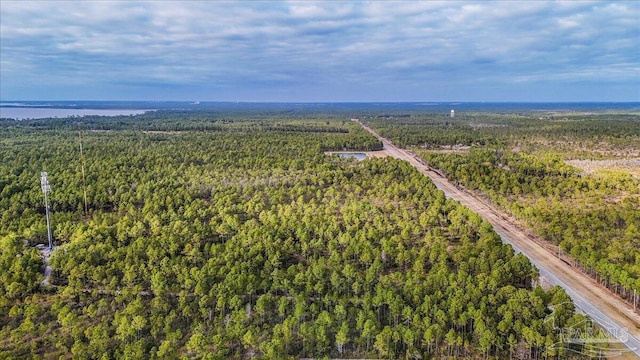 37ACRES Avalon Blvd, Milton, FL 32583