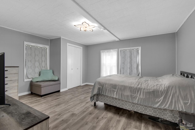 bedroom featuring a closet and wood-type flooring