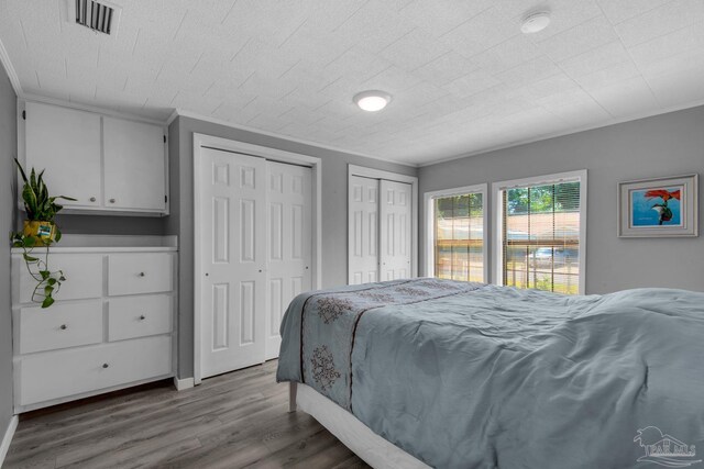 bedroom with hardwood / wood-style flooring and two closets