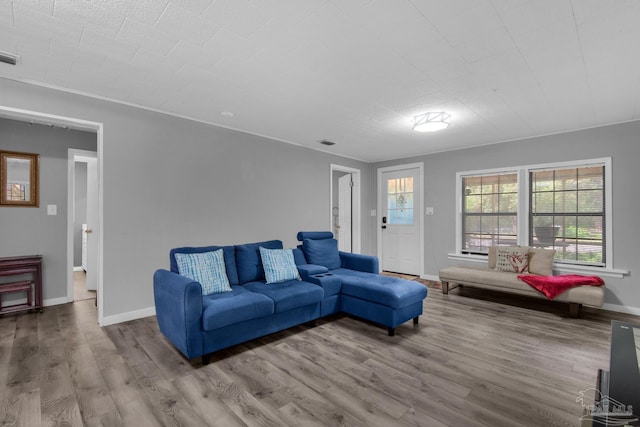 living room featuring hardwood / wood-style flooring