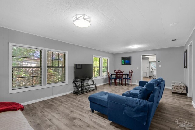 living room with wood-type flooring