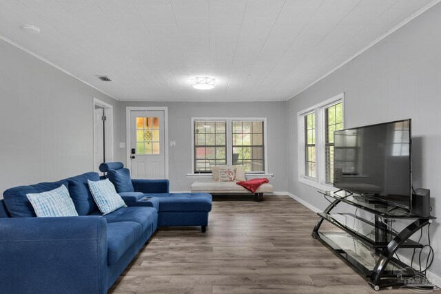 living room featuring crown molding and wood-type flooring