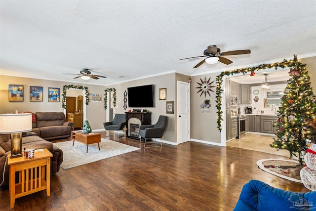 living room featuring wood-type flooring, a textured ceiling, and ornamental molding