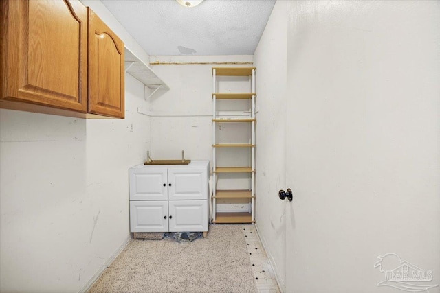 spacious closet with light colored carpet