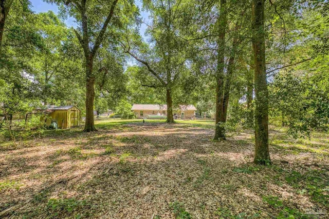view of yard featuring an outdoor structure and a shed