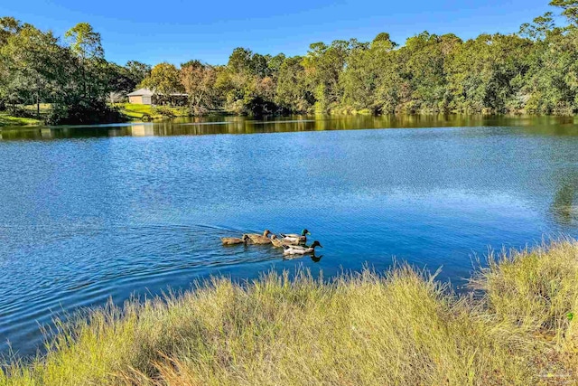 property view of water